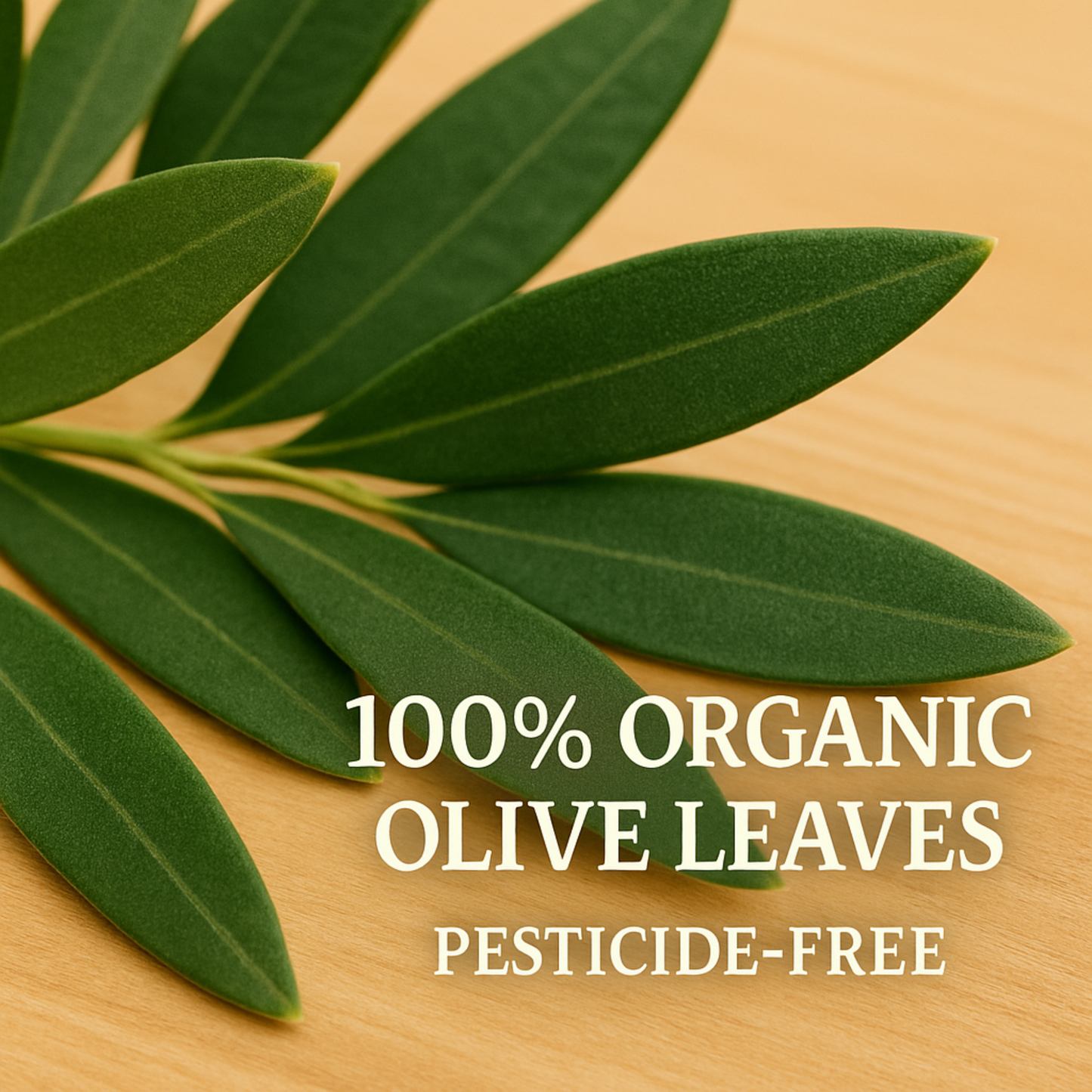 Olive Vitality® Organic Olive Leaf Tea Bag (60 Count | 3.6 oz | 102 g)